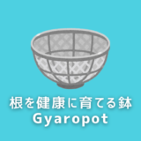 【おすすめ】根と土の育成に寄り添う鉢「Gyropot」を紹介します。