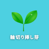 【成功率UP！】黒松盆栽「軸切り挿し芽」の手順を紹介！