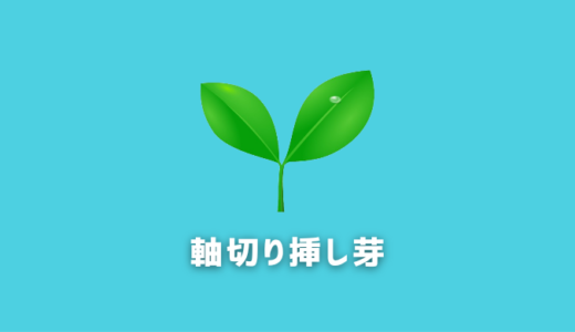 【成功率UP！】黒松盆栽「軸切り挿し芽」の手順を紹介！