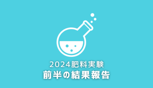 【前半の結果報告】黒松盆栽を太くするために適した肥料の実験