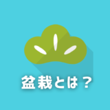 盆栽とは？盆栽の定義や種類、特徴などを紹介します！