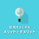 【経験者が語る！】盆栽をはじめるメリットとデメリット