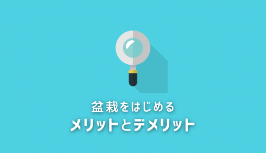 【経験者が語る！】盆栽をはじめるメリットとデメリット