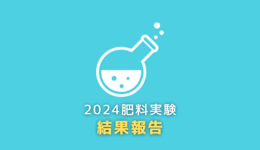 【結果報告】黒松盆栽を太くするために適した肥料の実験